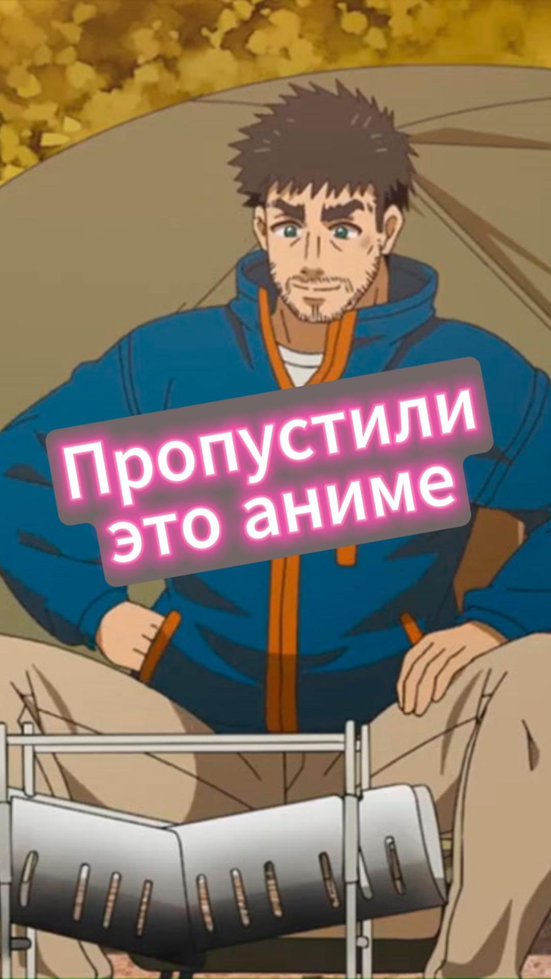 Вы пропустили это аниме