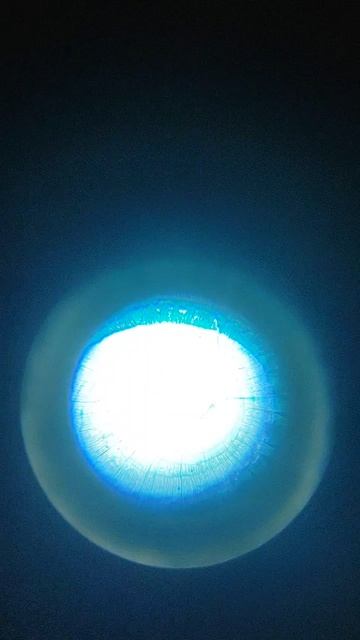 VID_20251116_205059.mp4