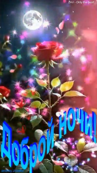 Доброй ночи!) Красивых снов) #добройночи