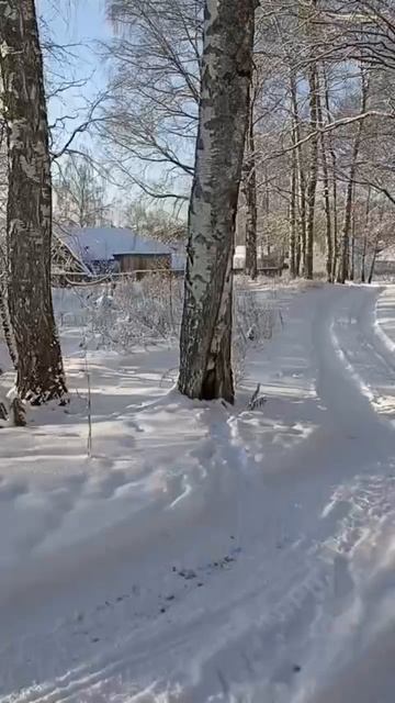 Зима пришла.