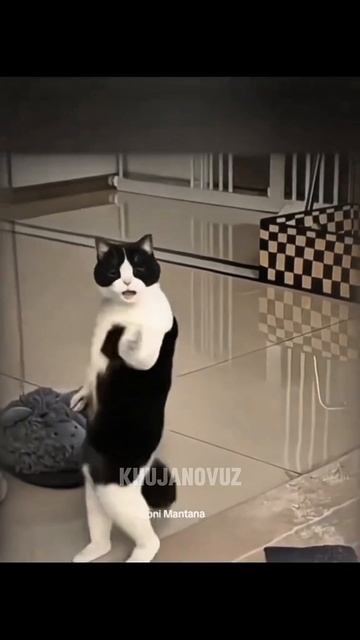 KUN UZ YANGILIKLAR 14.12.2025