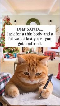 «Дорогой Санта, в прошлом году я просил тебя о стройном, худом теле и толстом кошельке»