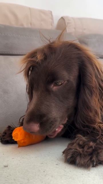 Ценитель витаминов 😋))