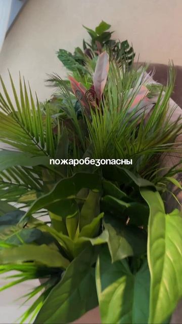 Почему кафе выбирают искусственные растения