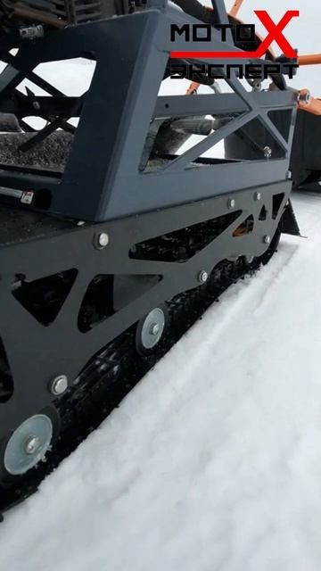 Бурлак Пионер