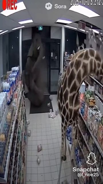 пов: я с другом в столовой