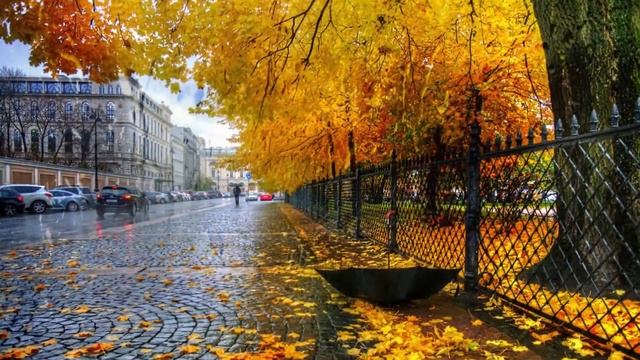 ВАЛЬС ДОЖДЯ (Фредерик Шопен)