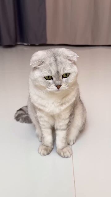 Игра началась