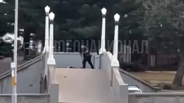 Появилось полное видео теракта в Австралии