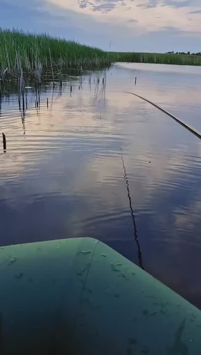 сразу клюёт🎣