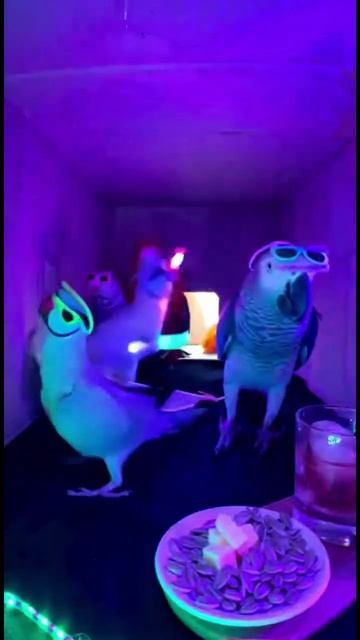 AQMNfBGfSOHNU-6RKIDudw4Le_mnzYRoS-nGo