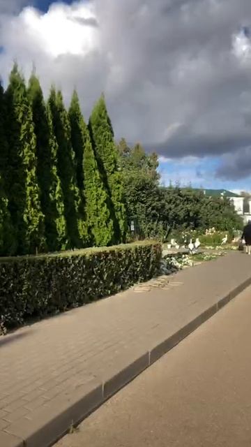 VID_20251210_164801_893.mp4 Отпуск