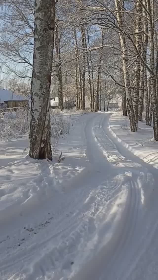 Зима пришла.