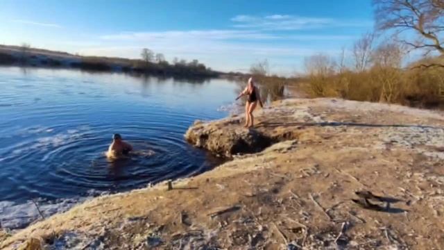 Моржи резвятся в середине декабря