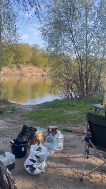 235862436_456239653.mp4