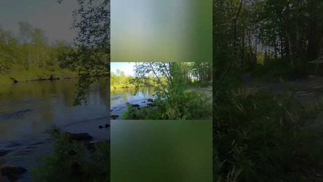 видео про 2025