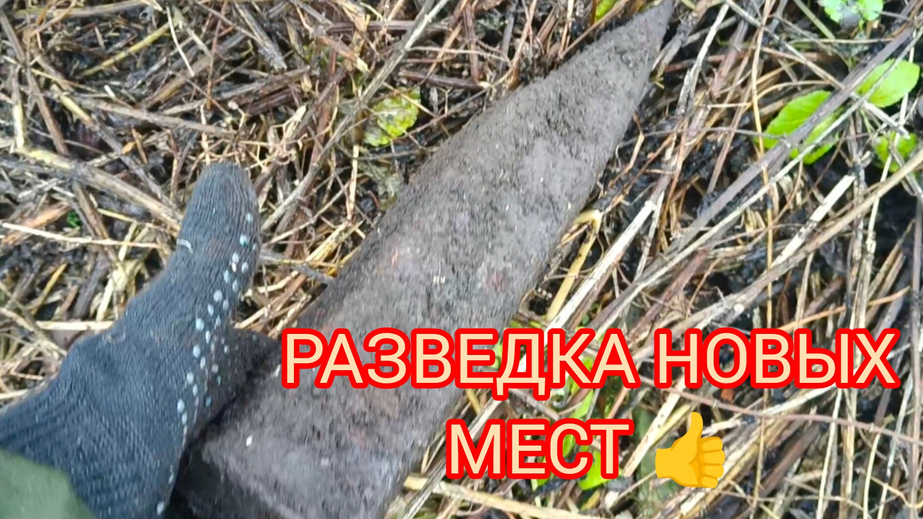 НЕ ПЛОХОЙ РЕЗУЛЬТАТ 👍