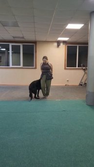 "Мандариновый фристайл " связки первых двух недель Шерлок