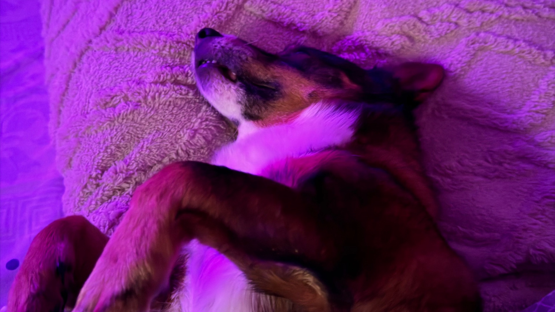 Я слежу за тобой ,а ты за мной