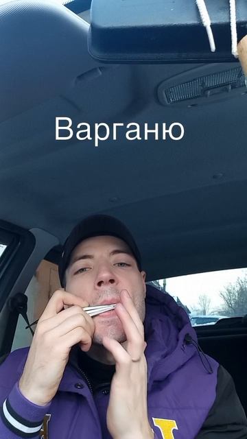 Варганю