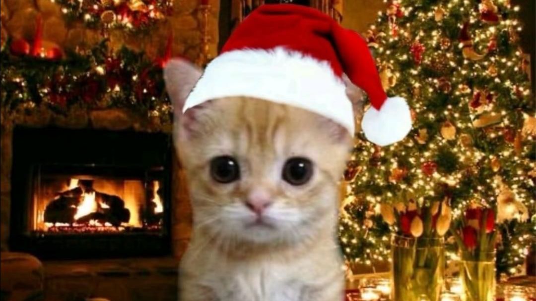 Буду бустить новичков часть:3 тг:@br_br_br_patapin4ik, айди 264077728