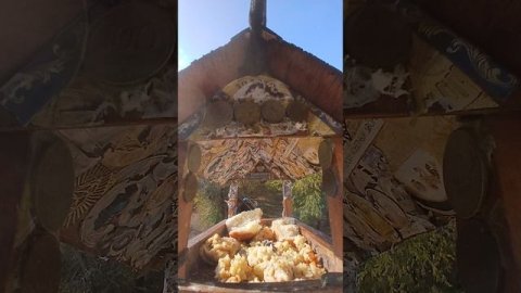 1000003710.mp4Жизнь кормушки.14.12.2025г.