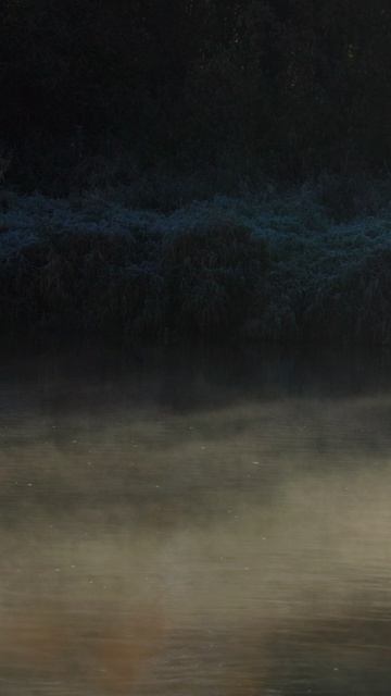 Незабываемый сплав.