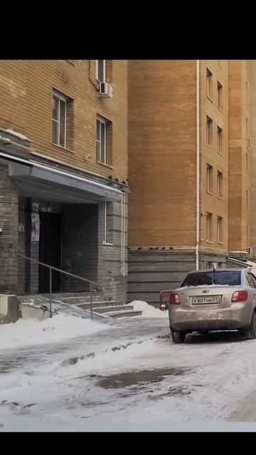 Жилет для собачки