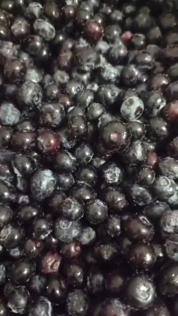 Голубика замороженная садовая в коробке по 10 кг