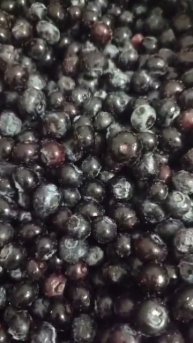 Голубика замороженная садовая в коробке по 10 кг