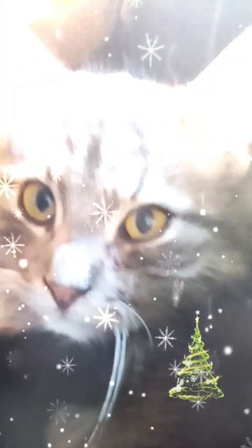 Главный вопрос