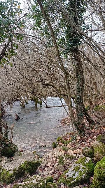 Ручей из горы