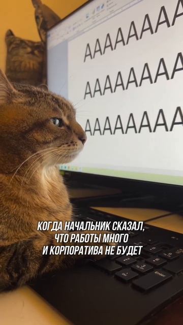 А у вас будет корпоратив?