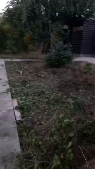 Ждём весны 2026 💪