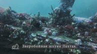 Дайвинг в Японском море. Зверобойная шхуна "Лахтак"
