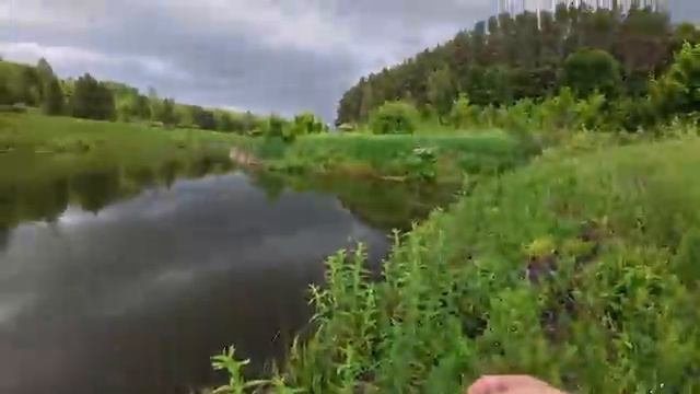 ЛОВЛЯ РАЗНОЙ РЫБЫ НА ТОНЧАЙШУЮ И УЛОВИСТУЮ СНАСТЬ! Рыбалка летом 2025