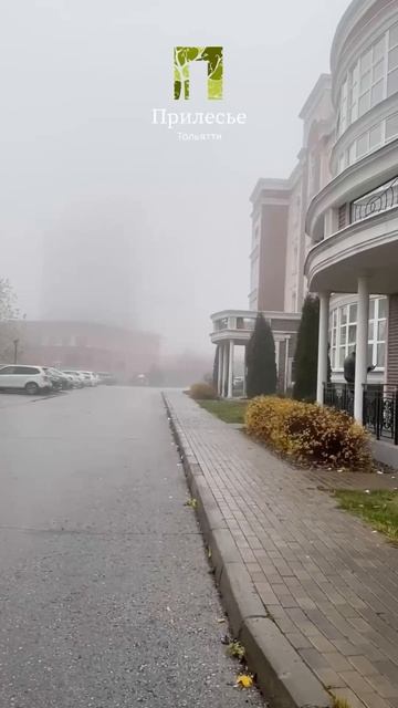 Туман #Осень #Ноябрь #жкПрилесье #ПрилесьеТольятти #Тольятти