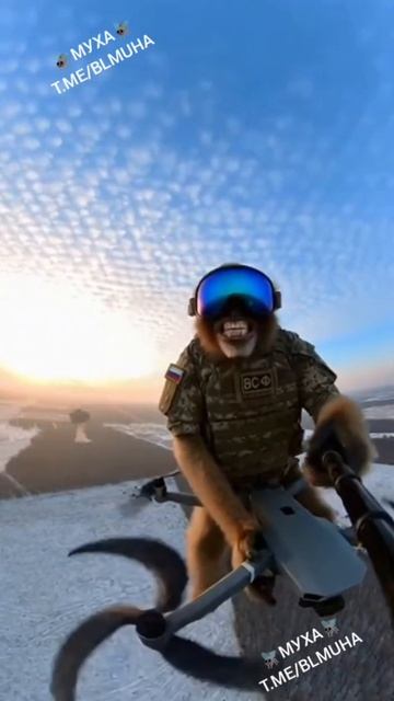 БПЛА в деле