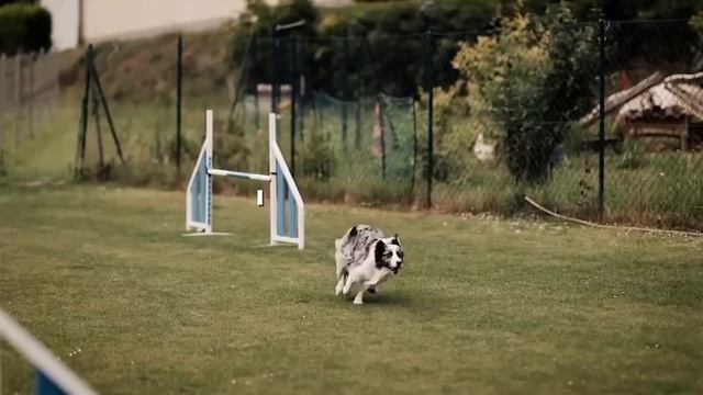 ЭДИТ В СТУДИЮ💖