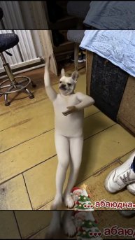 ТАНЦЫ/ ТРЕНДЫ 🔥🤣💣#видео #топ #рейтинг#очень #мультики #детям #детский#рутуб #тренд