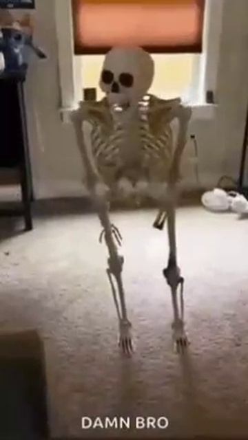 Скелет упал