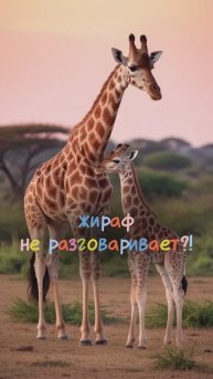 Хочешь поговорить с жирафом? 🦒