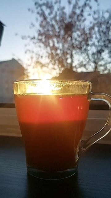 video_2025-12-14_19-08-38