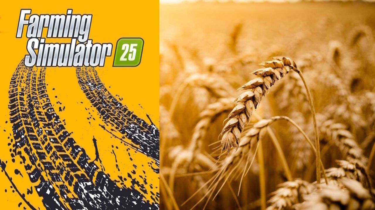 Уборочная Овса / FS25 Карта ЗарЯ ч.6 / Farming Simulator 25 🐄🌻🌽