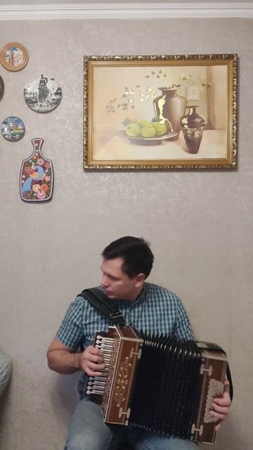 Моя новая гармонь 2025 г.