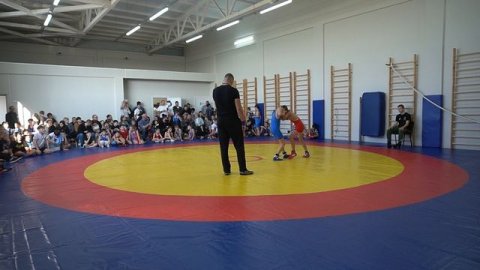 ГРБ. 2014-2015 г.р. Вес 38 кг. Пацация Александр (Новопокровская)-Борисов Владимир (Новокубанск)