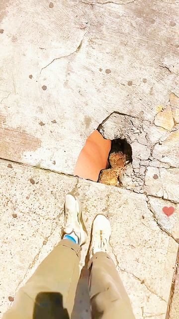 👀👀👀👀👀👀👀👀