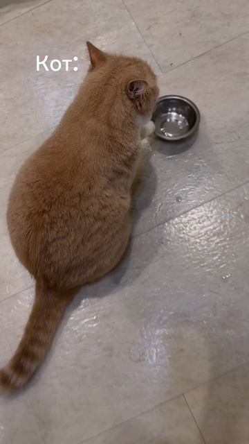 Ну и скажите мне, что я не права?