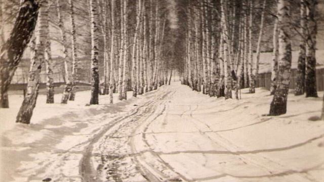 Памяти С. А. Кушнарёва: живая экскурсия воспоминаний В. Б. Демьянчука о создателе Райского Сада.mp4