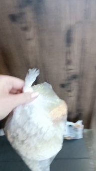 Зима - трудное время для уличных зверей.